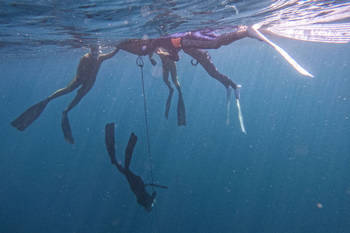 潛水大本營教學照片 潛水課程 首選 潛水大本營 專營龜山島潛水、自由潛水、漁獵、船潛